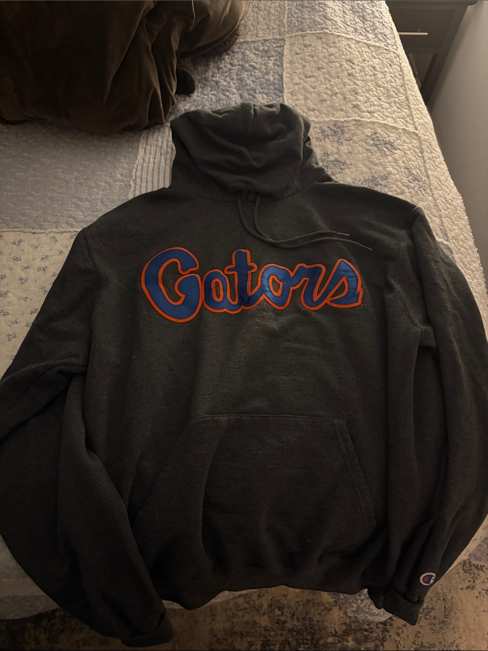 Champion Gators Black Pullover Hoodie Sweatshirt women’s